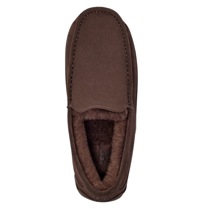 UGG Men's Ascot Slipper Dusted Cocoa