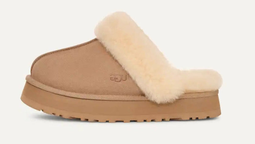 UGG Disquette