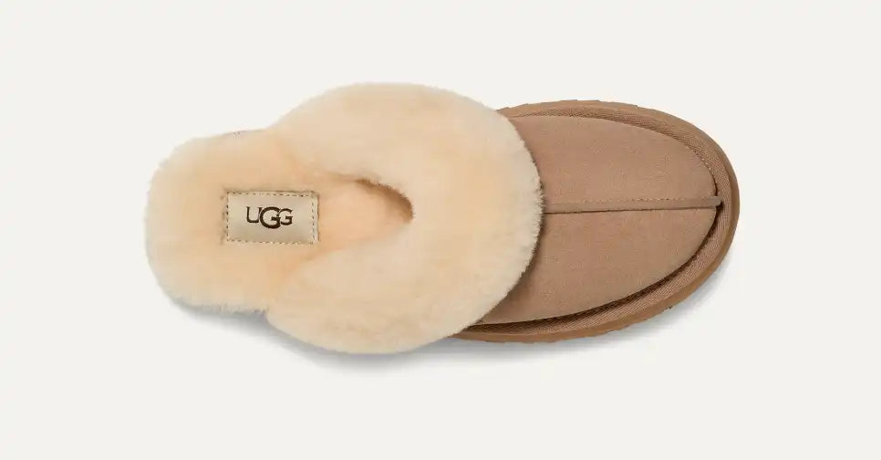 UGG Disquette