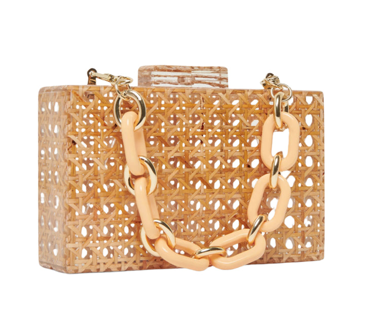 Dolce Vita Cane Acrylic Box Bag