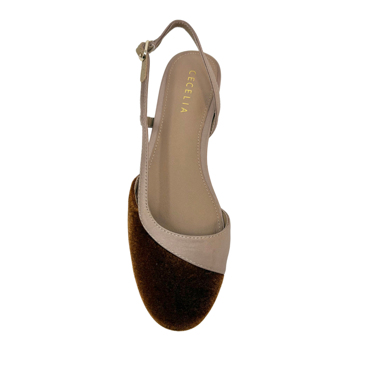 Cecelia New York Heidi Slingback Flats