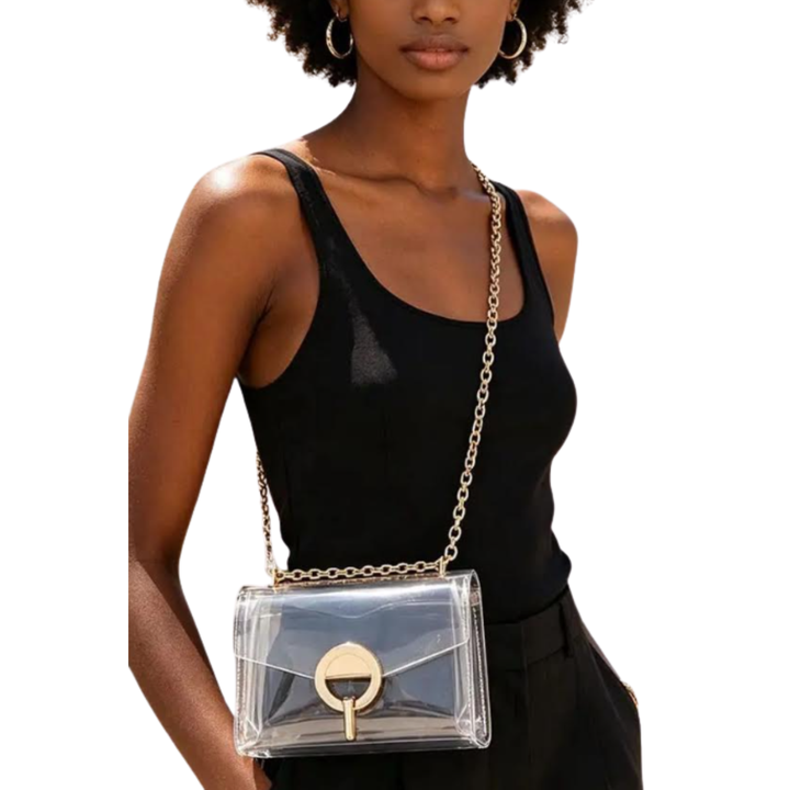 Ace Handbags Clear Chain Crossbody