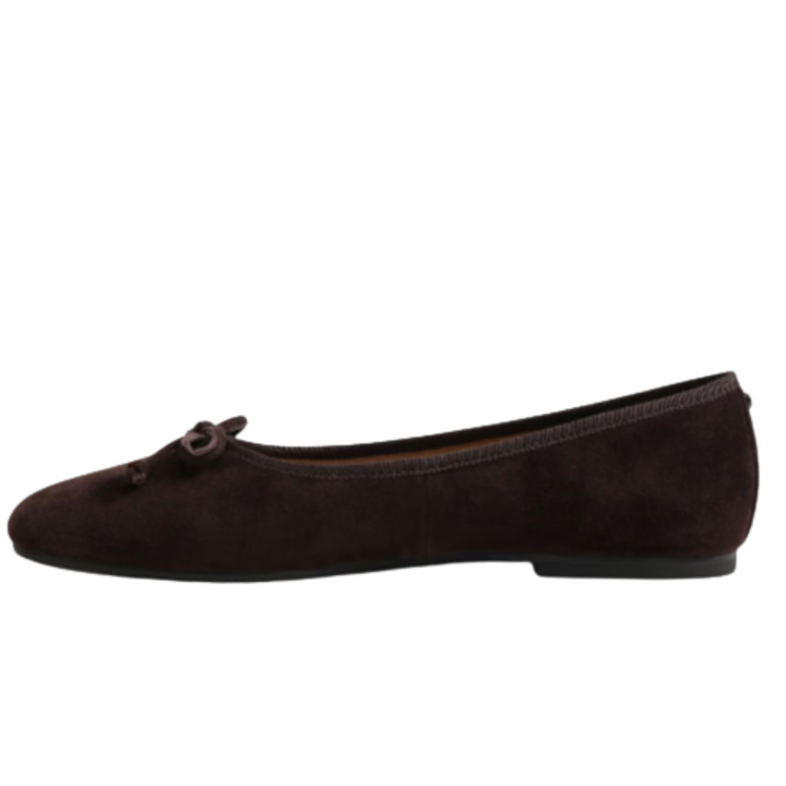 Sam Edelman Alie Ballet Flat