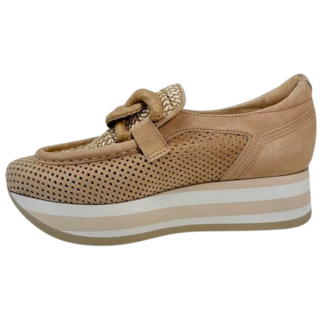 Softwaves Cintia 7.78.90