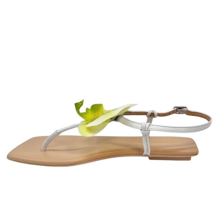Silent D Emlyn Sandal