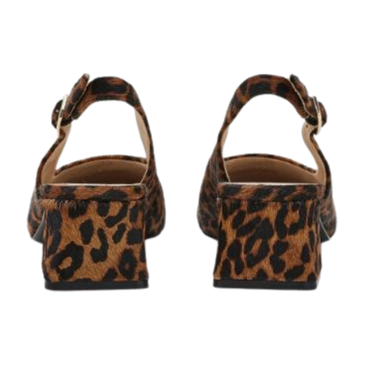 Vaneli Darsy