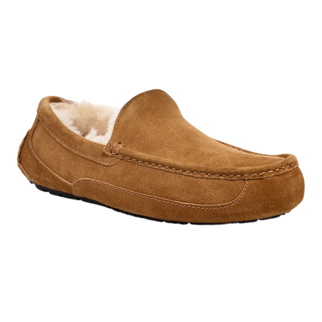 UGG Men's Suede Ascot Slipper Chestnut